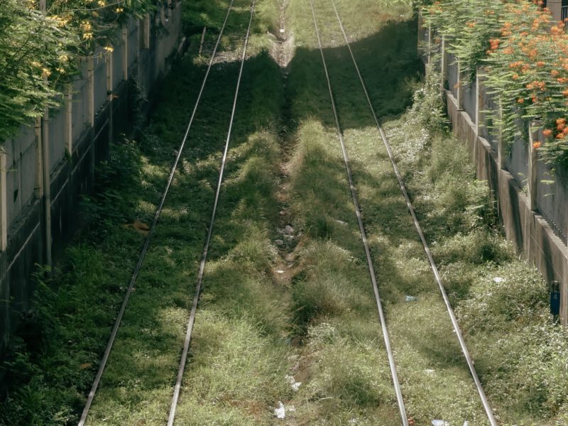 Disused railway tracks overgrown with wild vegetation