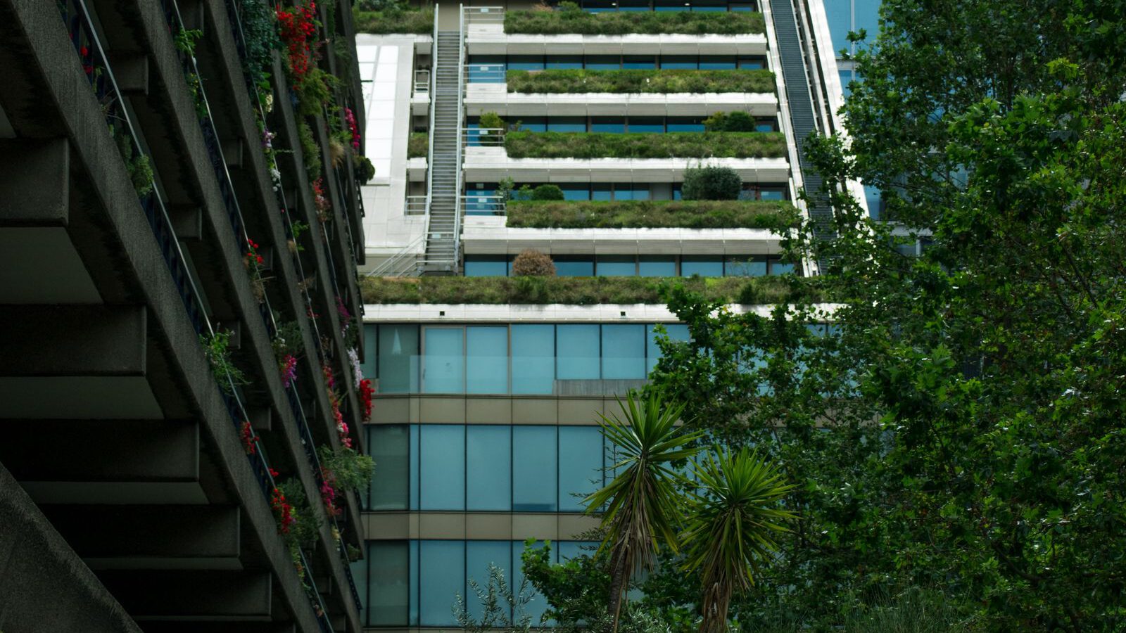 Green plants growing among the grey concrete balconies of London's Barbican estate