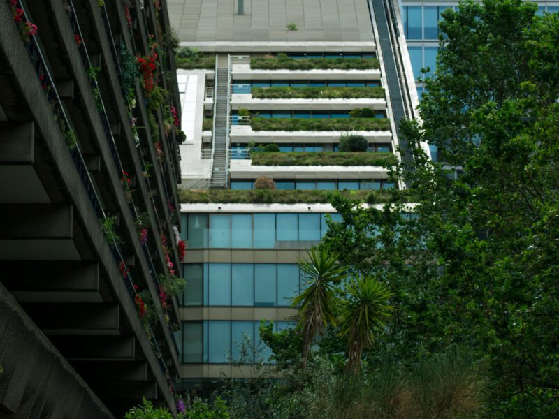 Green plants growing among the grey concrete balconies of London's Barbican estate