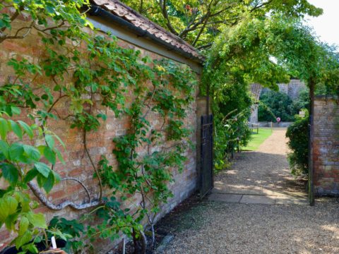 A quiet walled garden with an old brick wall, climbing greenery and a gate opening onto a green lawn.