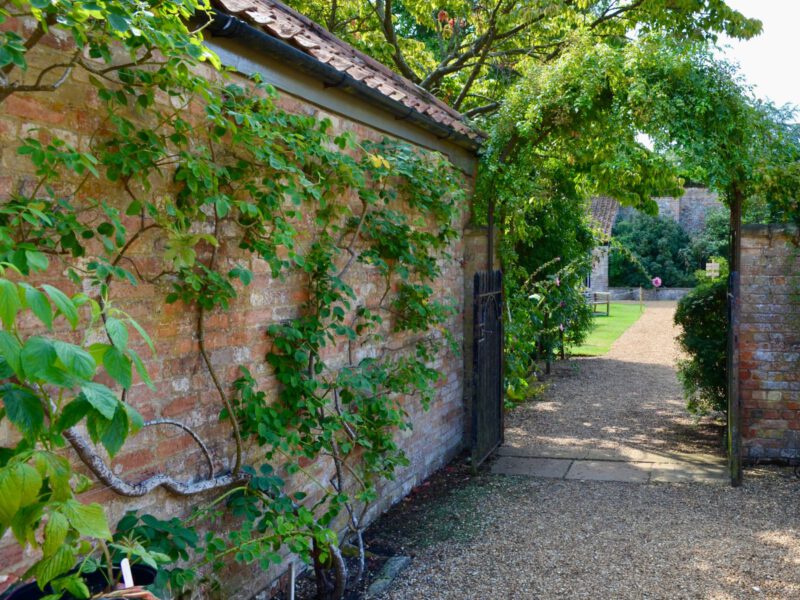 A quiet walled garden with an old brick wall, climbing greenery and a gate opening onto a green lawn.