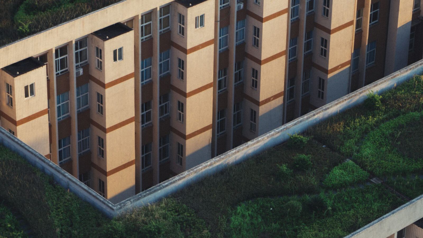 Aerial view of green planted rooftops running across the tops of city buildings.