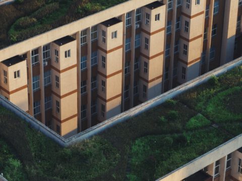 Aerial view of green planted rooftops running across the tops of city buildings.