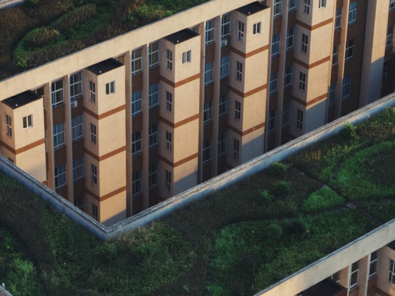 Aerial view of green planted rooftops running across the tops of city buildings.