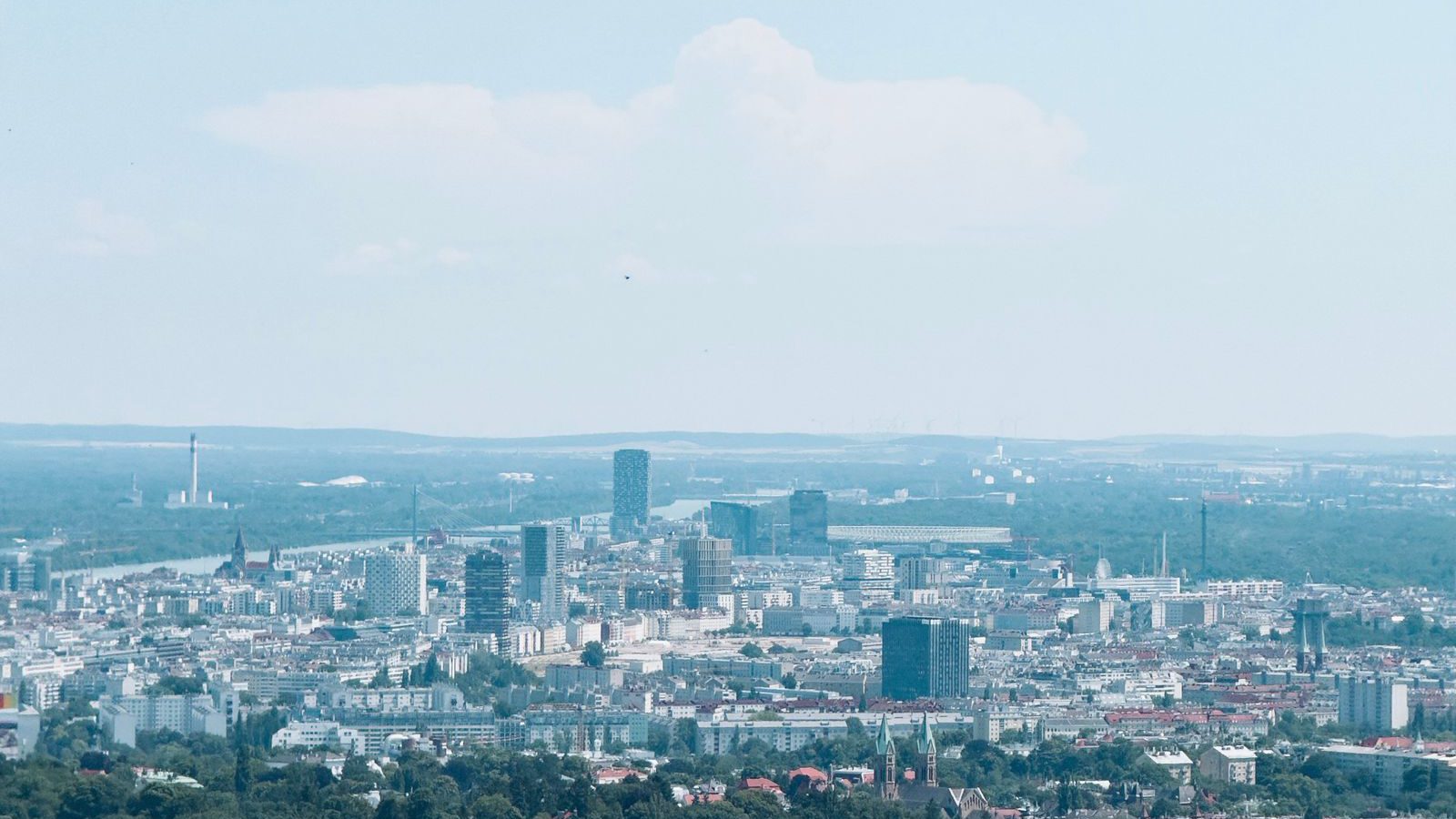 Vienna's skyline and the Danube valley seen across vineyards from the Kahlenberg hills on a clear summer day.