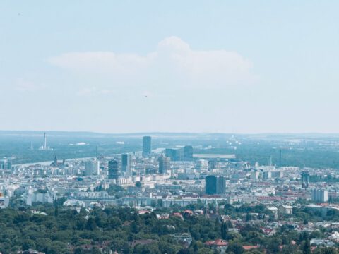 Vienna's skyline and the Danube valley seen across vineyards from the Kahlenberg hills on a clear summer day.