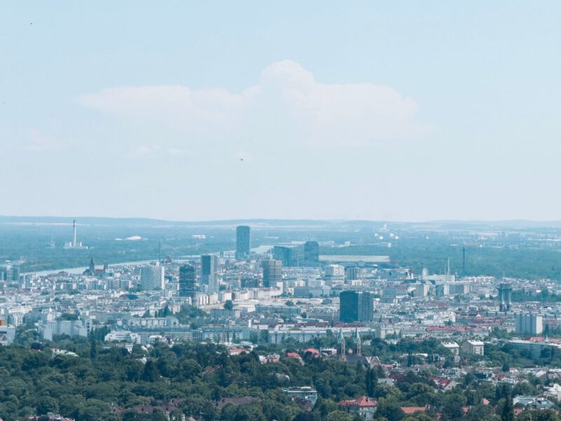 Vienna's skyline and the Danube valley seen across vineyards from the Kahlenberg hills on a clear summer day.