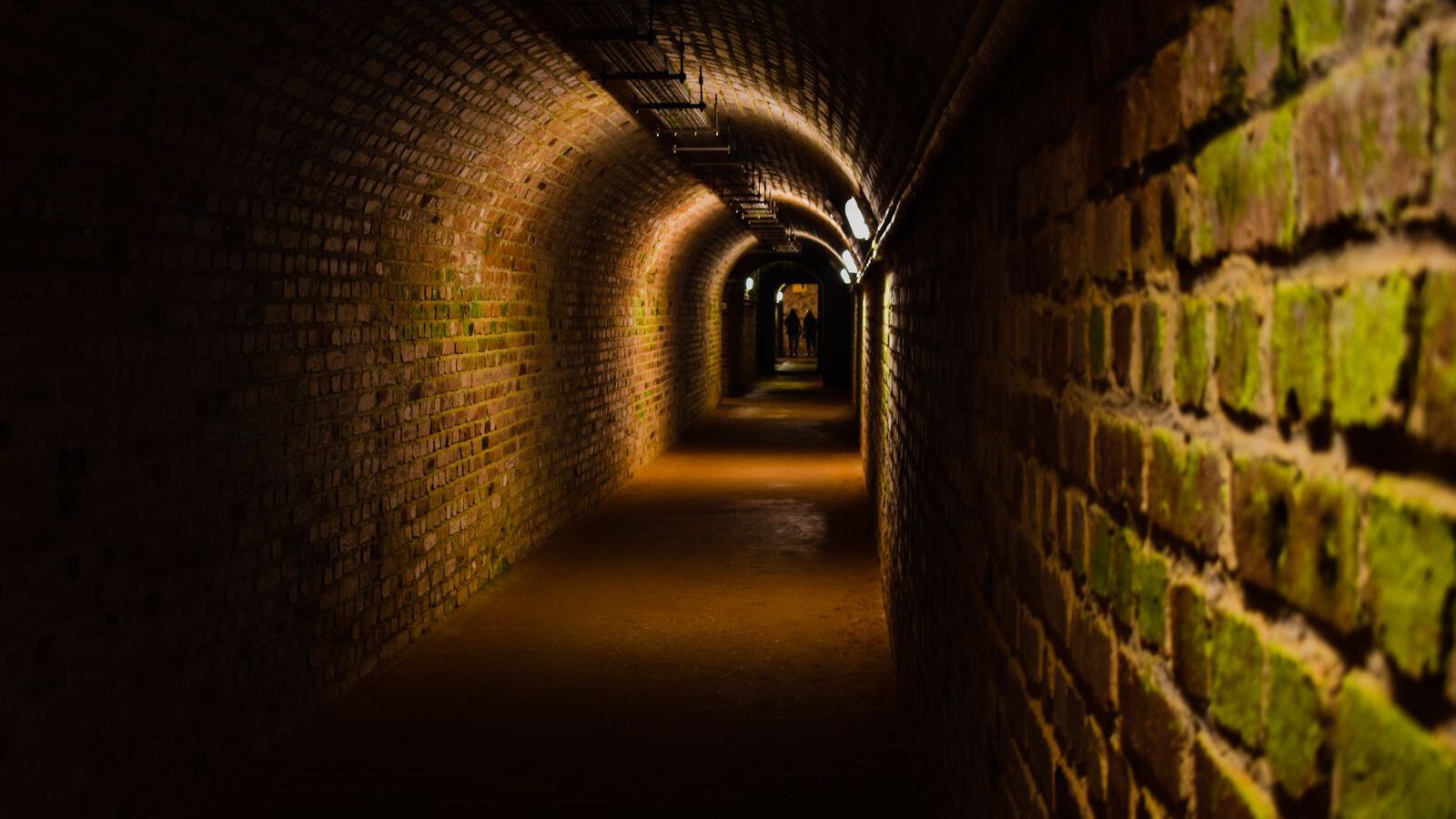 A dimly lit, moss-streaked brick tunnel receding into darkness, evoking Vienna's historic sewers from The Third Man.