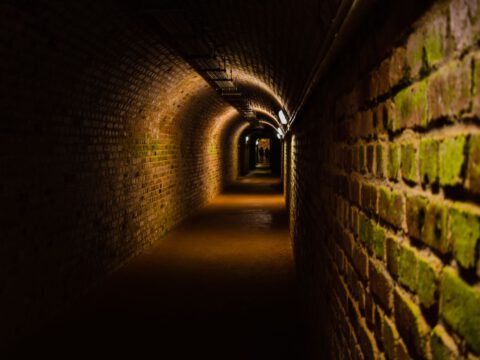 A dimly lit, moss-streaked brick tunnel receding into darkness, evoking Vienna's historic sewers from The Third Man.