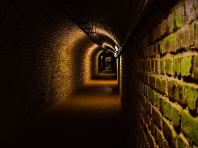A dimly lit, moss-streaked brick tunnel receding into darkness, evoking Vienna's historic sewers from The Third Man.